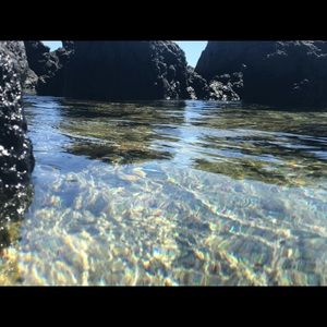 Meet your Posher, Jacy & kella